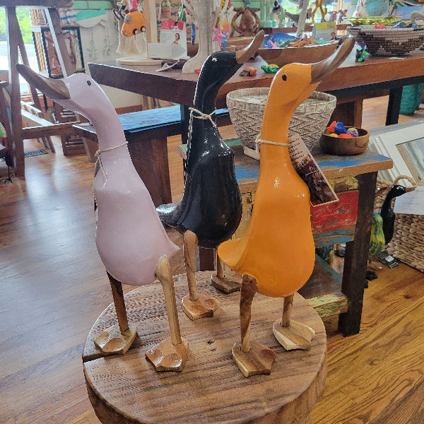Ubud Duck