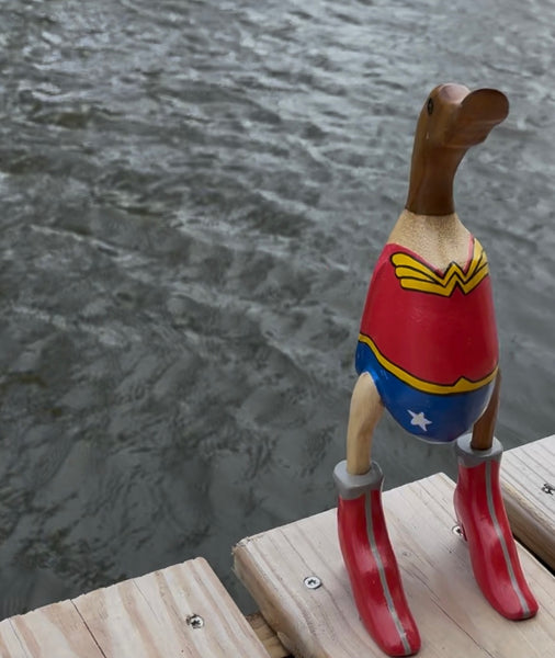 Wonder Duck