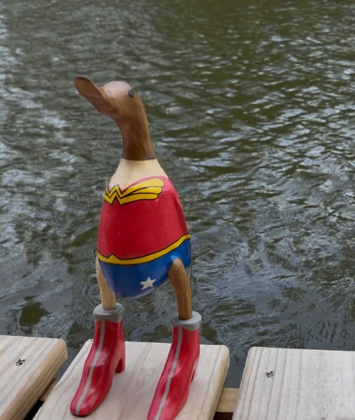 Wonder Duck