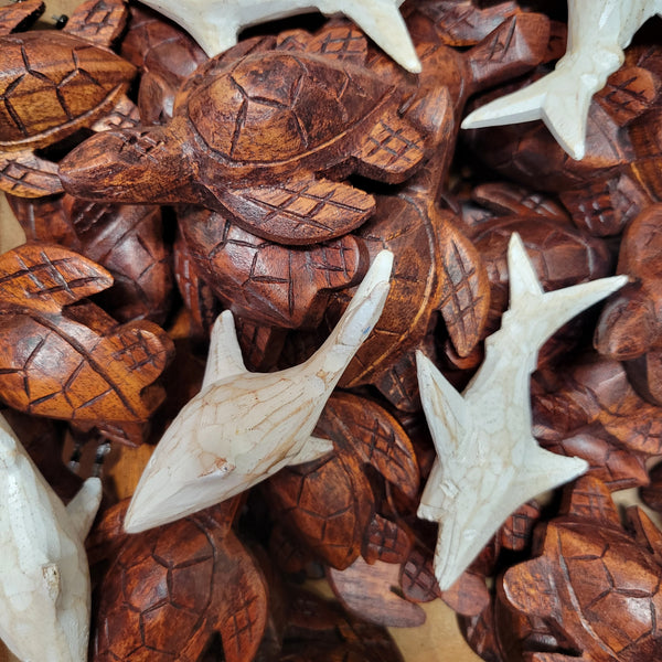 Tiny Turtles & Baby Sharks