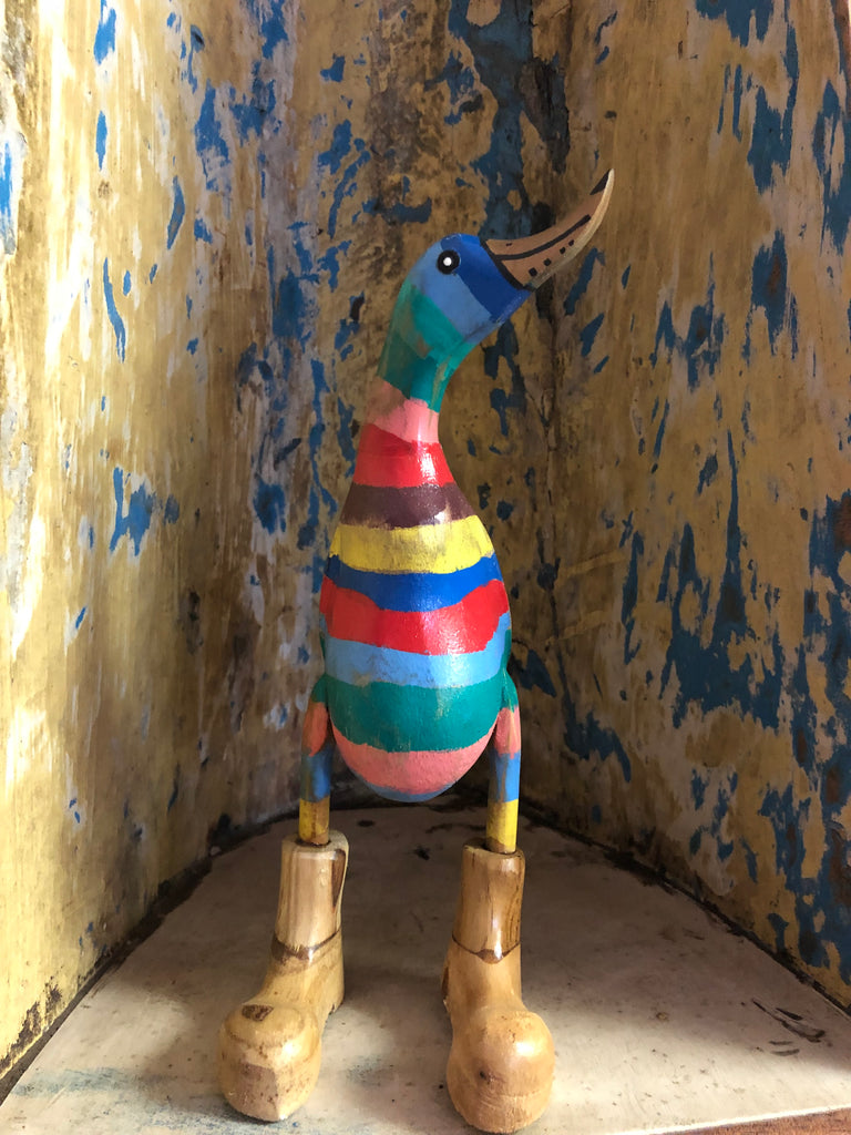 All the Colors! Rainbow Duck