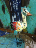 Curious Bird
