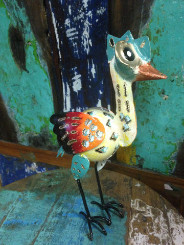 Curious Bird